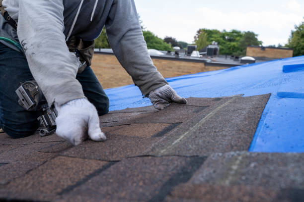 Best Sealant for Roof  in Central City, IA