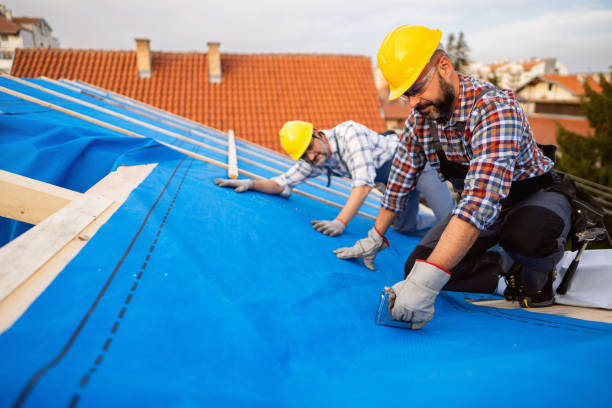 Best Affordable Roofing Company  in Central City, IA