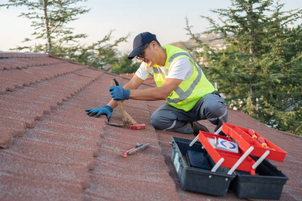 Professional Roofing Contractor in Central City, IA